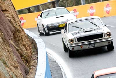 302;12-April-2009;1966-Ford-Mustang-Fastback;30366H;Australia;Bathurst;David-Livian;FOSC;Festival-of-Sporting-Cars;Mt-Panorama;NSW;New-South-Wales;Regularity;auto;motorsport;racing;super-telephoto