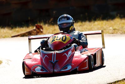 250;6-June-2009;Australia;Grant-Watson;Morgan-Park-Raceway;QLD;Queensland;Superkarts;Topshot;Warwick;auto;motorsport;racing;super-telephoto