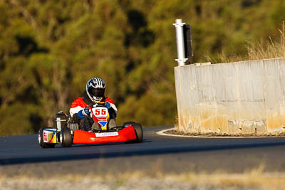 55;6-June-2009;Australia;CRG-Maximo;Morgan-Park-Raceway;QLD;Queensland;Robert-Aston;Superkarts;Warwick;auto;motorsport;racing;super-telephoto