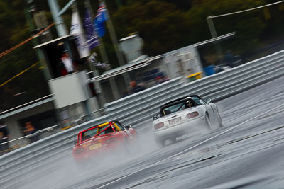 81;7-June-2009;Australia;Mazda-MX‒5;Mazda-MX5;Mazda-Miata;Morgan-Park-Raceway;Peter-Lepherd;QLD;Queensland;Regularity;Warwick;auto;motion-blur;motorsport;racing;super-telephoto