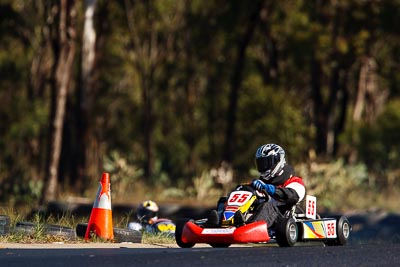 55;7-June-2009;Australia;CRG-Maximo;Morgan-Park-Raceway;QLD;Queensland;Robert-Aston;Superkarts;Warwick;auto;motorsport;racing;super-telephoto