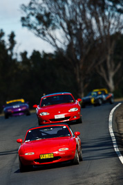 8;7-June-2009;Australia;Lindsay-Burke;Mazda-MX‒5;Mazda-MX5;Mazda-Miata;Morgan-Park-Raceway;QLD;Queensland;Regularity;Warwick;auto;motorsport;racing;scenery;super-telephoto;trees