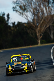 68;7-June-2009;Australia;Mazda-MX‒5;Mazda-MX5;Mazda-Miata;Morgan-Park-Raceway;QLD;Queensland;Regularity;Warwick;Yve-Stocks;auto;motorsport;racing;scenery;super-telephoto;trees