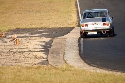 22;7-June-2009;Australia;Group-N;Historic-Touring-Cars;Mazda-RX‒2;Morgan-Park-Raceway;Paul-Bruce;QLD;Queensland;Warwick;auto;classic;historic;motorsport;racing;super-telephoto;vintage