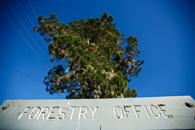 18-July-2009;Australia;Jimna;QLD;QRC;Queensland;Queensland-Rally-Championship;Sunshine-Coast;atmosphere;auto;forestry-office;motorsport;racing;service-centre;service-park;sign;sky;trees;wide-angle