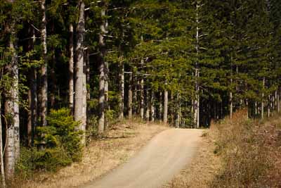 18-July-2009;Australia;Jimna;QLD;QRC;Queensland;Queensland-Rally-Championship;Sunshine-Coast;auto;forest;landscape;motorsport;racing;scenery;telephoto;trees