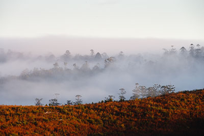 19-July-2009;Australia;Jimna;QLD;QRC;Queensland;Queensland-Rally-Championship;Sunshine-Coast;atmosphere;auto;landscape;morning;motorsport;racing;scenery;super-telephoto