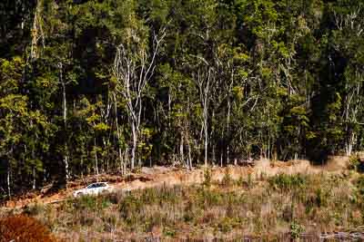 26;19-July-2009;Australia;Ben-Lynagh;Jimna;Mitsubishi-Mirage;QLD;QRC;Queensland;Queensland-Rally-Championship;Rex-Morris;Sunshine-Coast;auto;motorsport;racing;special-stage;super-telephoto