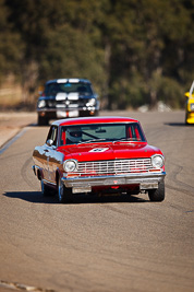 6;1964-Chevrolet-Nova;24-July-2009;Australia;FOSC;Festival-of-Sporting-Cars;Group-N;Historic-Touring-Cars;NSW;Narellan;New-South-Wales;Oran-Park-Raceway;Ross-Muller;auto;classic;historic;motorsport;racing;super-telephoto;vintage
