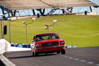 22;1964-Ford-Mustang;24-July-2009;Australia;Bill-Trengrove;FOSC;Festival-of-Sporting-Cars;Group-N;Historic-Touring-Cars;NSW;Narellan;New-South-Wales;Oran-Park-Raceway;auto;classic;historic;motorsport;racing;super-telephoto;vintage