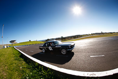 289;1964-Ford-Mustang;24-July-2009;Alan-Shearer;Australia;FOSC;Festival-of-Sporting-Cars;Group-N;Historic-Touring-Cars;NSW;Narellan;New-South-Wales;Oran-Park-Raceway;auto;classic;fisheye;historic;motorsport;racing;vintage