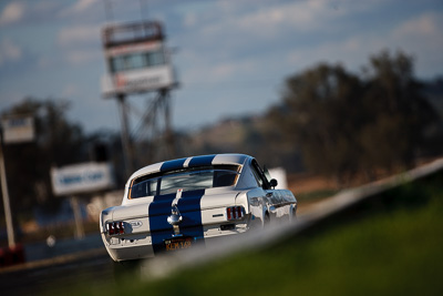 98;1966-Ford-Mustang;24-July-2009;Australia;Bob-Cox;FOSC;Festival-of-Sporting-Cars;Group-N;Historic-Touring-Cars;NSW;Narellan;New-South-Wales;Oran-Park-Raceway;auto;classic;historic;motorsport;racing;super-telephoto;vintage