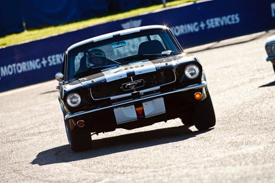289;1964-Ford-Mustang;24-July-2009;Alan-Shearer;Australia;FOSC;Festival-of-Sporting-Cars;Group-N;Historic-Touring-Cars;NSW;Narellan;New-South-Wales;Oran-Park-Raceway;auto;classic;historic;motorsport;racing;super-telephoto;vintage