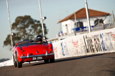 143;1955-Austin-Healey-100;25-July-2009;Australia;BN1955;David-Lawrence;FOSC;Festival-of-Sporting-Cars;NSW;Narellan;New-South-Wales;Oran-Park-Raceway;Regularity;auto;motorsport;racing;super-telephoto