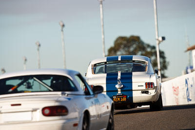 198;1966-Shelby-GT-350;25-July-2009;Australia;FOSC;Festival-of-Sporting-Cars;NSW;Narellan;New-South-Wales;Oran-Park-Raceway;Regularity;Warren-Jenkins;auto;motorsport;racing;super-telephoto