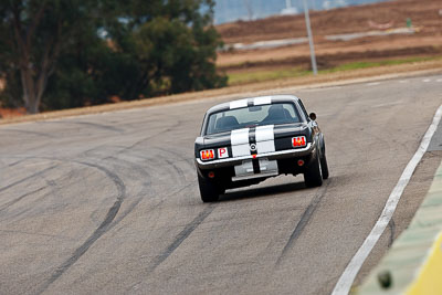 289;1964-Ford-Mustang;26-July-2009;Alan-Shearer;Australia;FOSC;Festival-of-Sporting-Cars;Group-N;Historic-Touring-Cars;NSW;Narellan;New-South-Wales;Oran-Park-Raceway;auto;classic;historic;motorsport;racing;super-telephoto;vintage