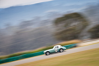 34;1959-Austin-Healey-3000;26-July-2009;Australia;Brian-Duffy;FOSC;Festival-of-Sporting-Cars;Group-S;NSW;Narellan;New-South-Wales;Oran-Park-Raceway;auto;classic;historic;motion-blur;motorsport;racing;super-telephoto;vintage