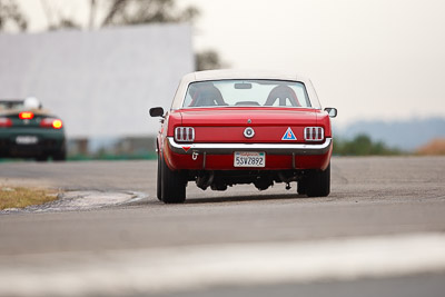 33;1965-Ford-Mustang;26-July-2009;Australia;FOSC;Festival-of-Sporting-Cars;NSW;Narellan;New-South-Wales;Oran-Park-Raceway;Regularity;Troy-Williams;auto;motorsport;racing;super-telephoto