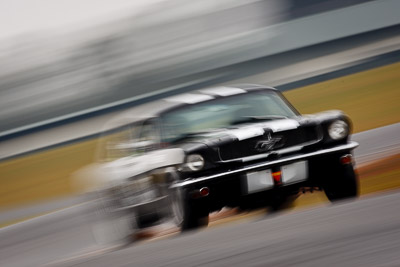 289;1964-Ford-Mustang;26-July-2009;Alan-Shearer;Australia;FOSC;Festival-of-Sporting-Cars;Group-N;Historic-Touring-Cars;NSW;Narellan;New-South-Wales;Oran-Park-Raceway;auto;classic;historic;motion-blur;motorsport;racing;super-telephoto;vintage