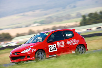 206;2004-Peugeot-206-GTi;31-October-2009;Australia;FOSC;Festival-of-Sporting-Cars;Marque-Sports;NSW;New-South-Wales;Wakefield-Park;auto;motorsport;racing;super-telephoto