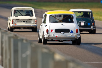 18;1964-Morris-Mini;31-October-2009;Alex-Donofrio;Australia;FOSC;Festival-of-Sporting-Cars;Group-N;Historic-Touring-Cars;NSW;New-South-Wales;Wakefield-Park;auto;classic;historic;motorsport;racing;super-telephoto;vintage