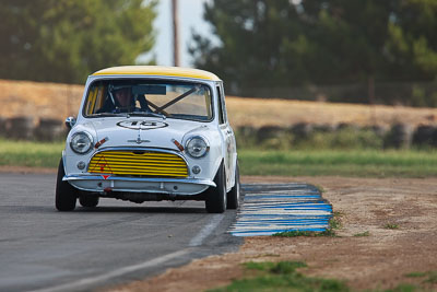 18;1964-Morris-Mini;31-October-2009;Alex-Donofrio;Australia;FOSC;Festival-of-Sporting-Cars;Group-N;Historic-Touring-Cars;NSW;New-South-Wales;Wakefield-Park;auto;classic;historic;motorsport;racing;super-telephoto;vintage