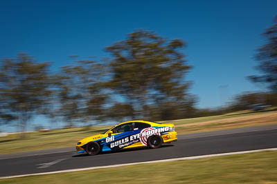 691;20-March-2010;Australia;Holden-Monaro-CV8;Morgan-Park-Raceway;Production-Cars;QLD;Queensland;Tony-Grant;Warwick;auto;motion-blur;motorsport;racing;wide-angle