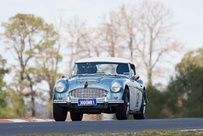 2;1959-Austin-Healey-3000;2-April-2010;3000MK1;Australia;Bathurst;Callum-Rowe;FOSC;Festival-of-Sporting-Cars;Mt-Panorama;NSW;New-South-Wales;Regularity;auto;motorsport;racing;super-telephoto