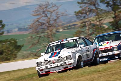 10;1977-Holden-Torana-A9X;2-April-2010;Australia;Bathurst;FOSC;Festival-of-Sporting-Cars;Mt-Panorama;NSW;New-South-Wales;Shaun-Tunny;auto;motorsport;racing;super-telephoto