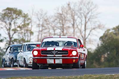 50;1964-Ford-Mustang;2-April-2010;Australia;Bathurst;David-Moran;FOSC;Festival-of-Sporting-Cars;Historic-Touring-Cars;Mt-Panorama;NSW;New-South-Wales;auto;classic;motorsport;racing;super-telephoto;vintage