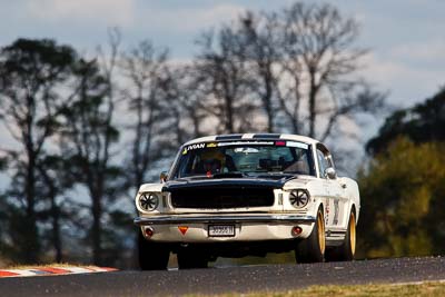 302;1966-Ford-Mustang-Fastback;2-April-2010;30366H;Australia;Bathurst;David-Livian;FOSC;Festival-of-Sporting-Cars;Mt-Panorama;NSW;New-South-Wales;Regularity;auto;motorsport;racing;super-telephoto