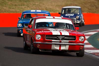 50;1964-Ford-Mustang;3-April-2010;Australia;Bathurst;David-Moran;FOSC;Festival-of-Sporting-Cars;Historic-Touring-Cars;Mt-Panorama;NSW;New-South-Wales;auto;classic;motorsport;racing;super-telephoto;vintage