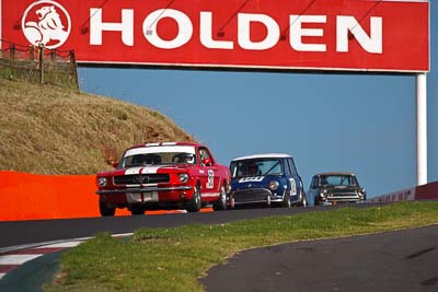 50;1964-Ford-Mustang;3-April-2010;Australia;Bathurst;David-Moran;FOSC;Festival-of-Sporting-Cars;Historic-Touring-Cars;Mt-Panorama;NSW;New-South-Wales;auto;classic;motorsport;racing;super-telephoto;vintage