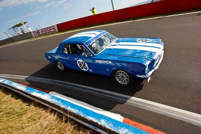 88;1964-Ford-Mustang;3-April-2010;Australia;Bathurst;FOSC;Festival-of-Sporting-Cars;Frank-Viskovich;Historic-Touring-Cars;Mt-Panorama;NSW;New-South-Wales;auto;classic;motorsport;racing;vintage;wide-angle