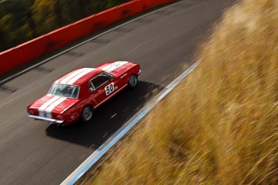 50;1964-Ford-Mustang;3-April-2010;Australia;Bathurst;David-Moran;FOSC;Festival-of-Sporting-Cars;Historic-Touring-Cars;Mt-Panorama;NSW;New-South-Wales;auto;classic;motion-blur;motorsport;racing;vintage;wide-angle