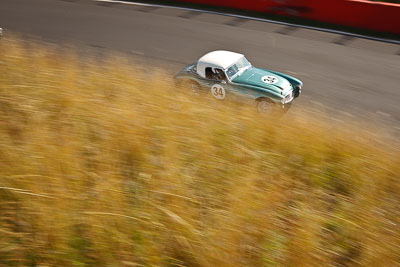 34;1959-Austin-Healey-3000;3-April-2010;Australia;Bathurst;Brian-Duffy;FOSC;Festival-of-Sporting-Cars;Historic-Sports-Cars;Mt-Panorama;NSW;New-South-Wales;auto;classic;motion-blur;motorsport;racing;vintage;wide-angle