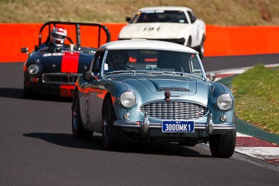 2;1959-Austin-Healey-3000;3-April-2010;3000MK1;Australia;Bathurst;Callum-Rowe;FOSC;Festival-of-Sporting-Cars;Mt-Panorama;NSW;New-South-Wales;Regularity;auto;motorsport;racing;super-telephoto