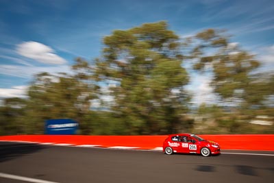 206;2004-Peugeot-206-GTi;3-April-2010;Australia;Bathurst;Carly-Black;FOSC;Festival-of-Sporting-Cars;Improved-Production;Mt-Panorama;NSW;New-South-Wales;auto;motion-blur;motorsport;racing;trees;wide-angle