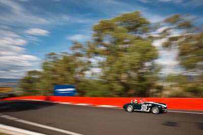 999;1965-AC-Cobra-Replica;3-April-2010;Australia;Bathurst;FOSC;Festival-of-Sporting-Cars;Jeff-Bryant;Mt-Panorama;NSW;New-South-Wales;Regularity;auto;motion-blur;motorsport;racing;trees;wide-angle