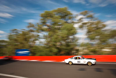 302;1966-Ford-Mustang-Fastback;3-April-2010;30366H;Australia;Bathurst;David-Livian;FOSC;Festival-of-Sporting-Cars;Mt-Panorama;NSW;New-South-Wales;Regularity;auto;motion-blur;motorsport;racing;trees;wide-angle