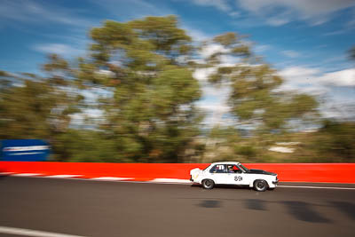 891;1974-Holden-Torana-SLR-5000;3-April-2010;Australia;Bathurst;FOSC;Festival-of-Sporting-Cars;Mt-Panorama;NSW;New-South-Wales;Regularity;auto;motion-blur;motorsport;racing;trees;wide-angle