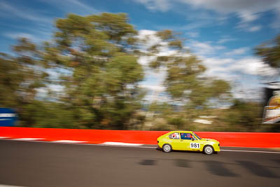 981;1981-Alfa-Romeo-Alfasud;3-April-2010;Alexandra-Murray;Australia;Bathurst;FOSC;Festival-of-Sporting-Cars;Mt-Panorama;NSW;New-South-Wales;Regularity;auto;motion-blur;motorsport;racing;trees;wide-angle