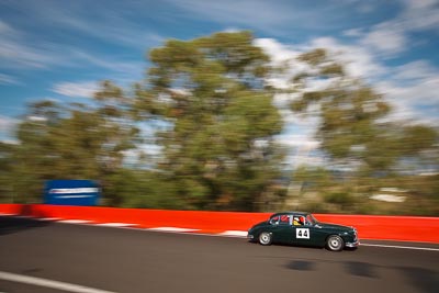 44;1964-Jaguar-Mk-II;25293H;3-April-2010;Australia;Bathurst;FOSC;Festival-of-Sporting-Cars;Mt-Panorama;NSW;New-South-Wales;Regularity;Tim-Mallyon;auto;motion-blur;motorsport;racing;trees;wide-angle