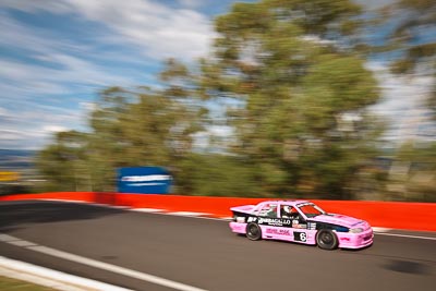 6;1989-Holden-Commodore-VL-Walkinshaw;3-April-2010;Australia;Bathurst;FOSC;Festival-of-Sporting-Cars;Mt-Panorama;NSW;New-South-Wales;Troy-Stapleton;auto;motion-blur;motorsport;racing;trees;wide-angle