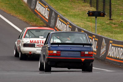 50;1984-Volvo-240-T;3-April-2010;Australia;Bathurst;FOSC;Festival-of-Sporting-Cars;Mt-Panorama;NSW;New-South-Wales;Richard-Prince;auto;motorsport;racing;super-telephoto