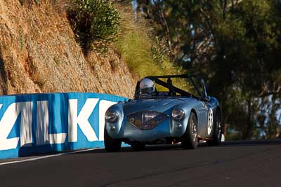 63;1953-Austin-Healey-1004;4-April-2010;Australia;Bathurst;Damian-Moloney;FOSC;Festival-of-Sporting-Cars;Historic-Sports-Cars;Mt-Panorama;NSW;New-South-Wales;auto;classic;motorsport;racing;super-telephoto;vintage