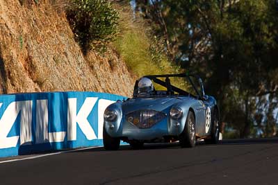 63;1953-Austin-Healey-1004;4-April-2010;Australia;Bathurst;Damian-Moloney;FOSC;Festival-of-Sporting-Cars;Historic-Sports-Cars;Mt-Panorama;NSW;New-South-Wales;auto;classic;motorsport;racing;super-telephoto;vintage