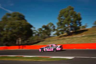 6;1989-Holden-Commodore-VL-Walkinshaw;4-April-2010;Australia;Bathurst;FOSC;Festival-of-Sporting-Cars;Mt-Panorama;NSW;New-South-Wales;Troy-Stapleton;auto;motion-blur;motorsport;racing;sky;trees;wide-angle