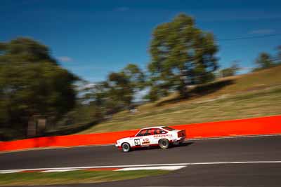 20;1977-Holden-Torana-A9X;4-April-2010;Australia;Bathurst;FOSC;Festival-of-Sporting-Cars;Lindsay-Woollard;Mt-Panorama;NSW;New-South-Wales;auto;motion-blur;motorsport;racing;sky;trees;wide-angle