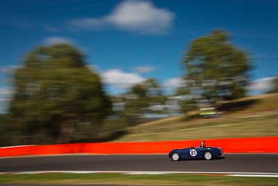 81;1959-Austin-Healey-Sprite;4-April-2010;Australia;Bathurst;FOSC;Festival-of-Sporting-Cars;Mt-Panorama;NSW;New-South-Wales;Regularity;Rod-Vogt;auto;motion-blur;motorsport;movement;racing;sky;speed;trees;wide-angle